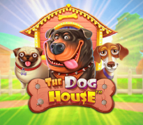 The Dog House