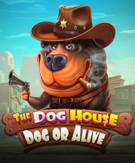 The Dog House - Dog or Alive